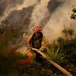 Palisades fires