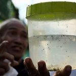 Philippines Dengue outbreak